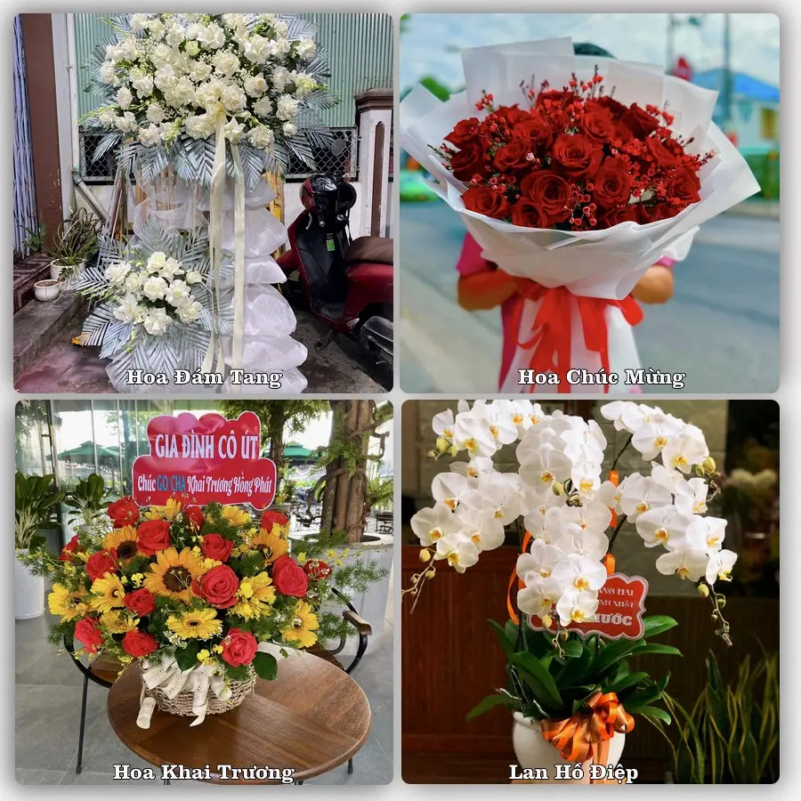 Tư vấn chọn hoa theo từng dịp tại Sơn Thịnh, Văn Chấn