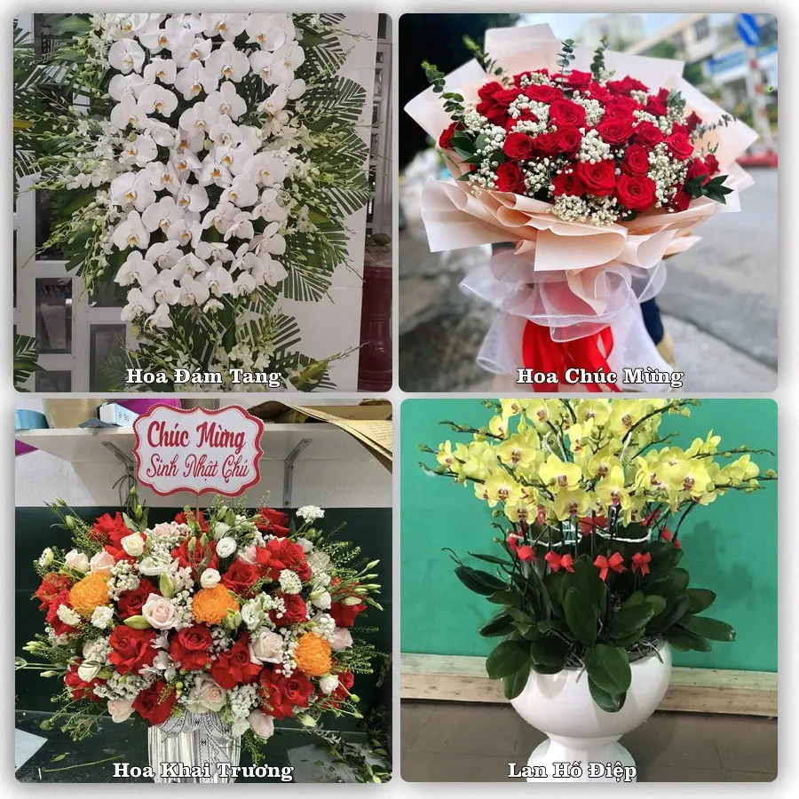 Tư vấn chọn hoa theo từng dịp tại Sông Mã