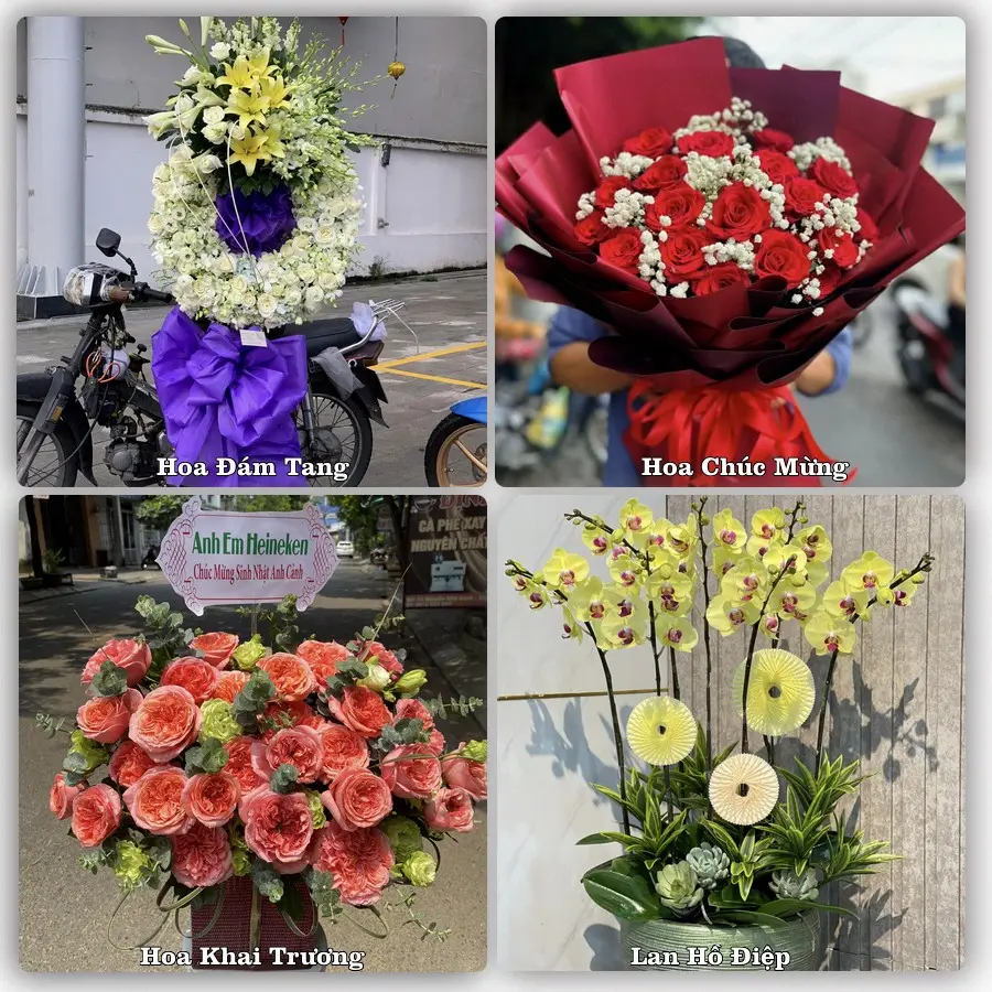Mẫu hoa tươi dành cho khách đặt hoa tại Tà Lùng, Quảng Hòa