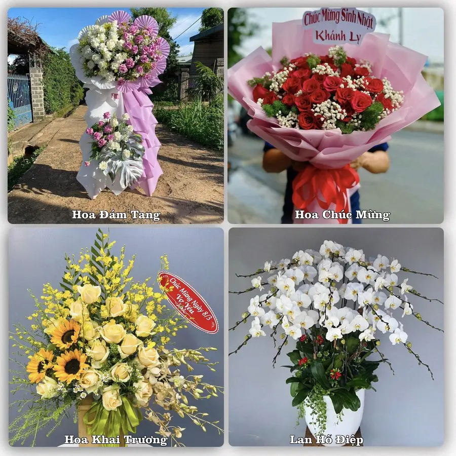 Tư vấn chọn hoa theo từng dịp tại Tà Lùng, Quảng Hòa