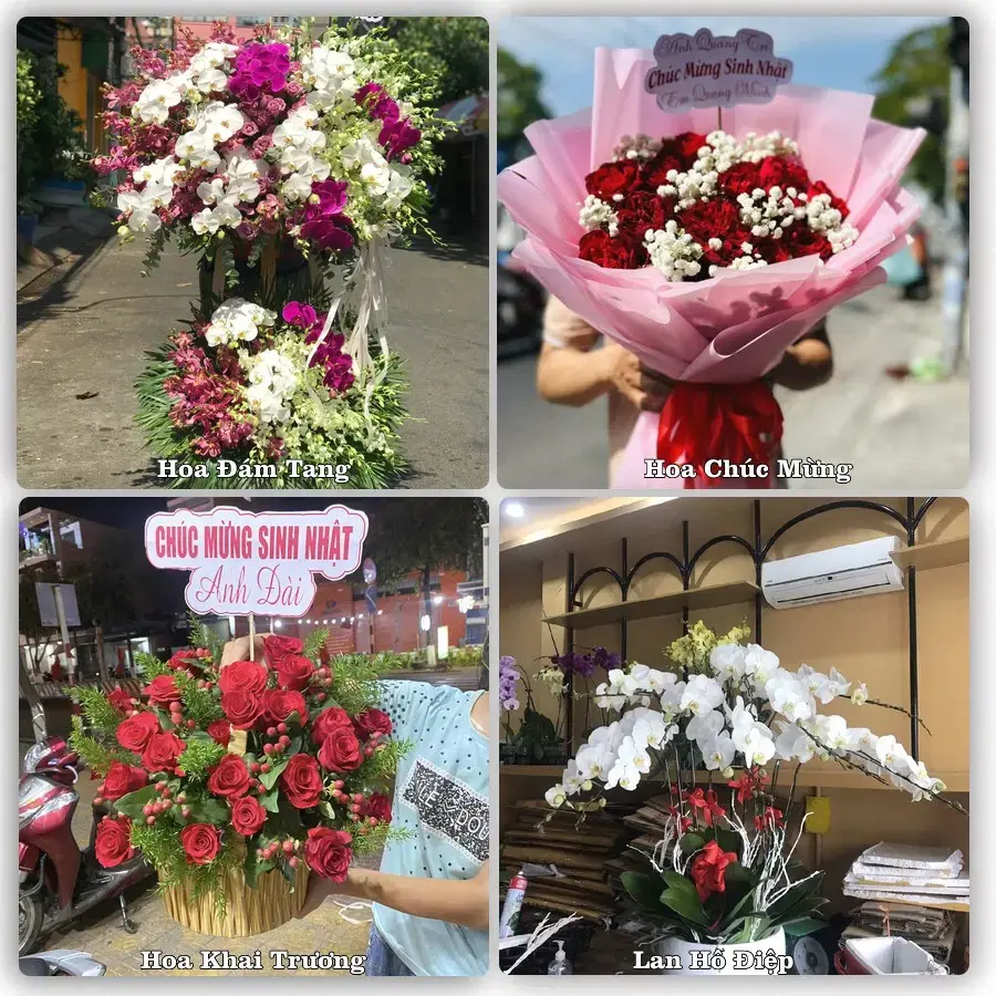 Tư vấn chọn hoa theo từng dịp tại Tam Đảo