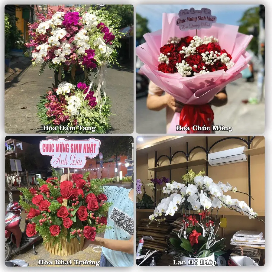 Tư vấn chọn hoa theo từng dịp tại Tam Đảo