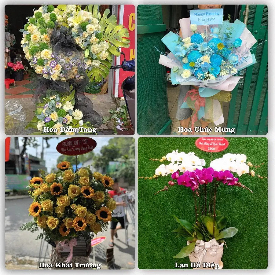 Tư vấn chọn hoa theo từng dịp tại Tam Đường