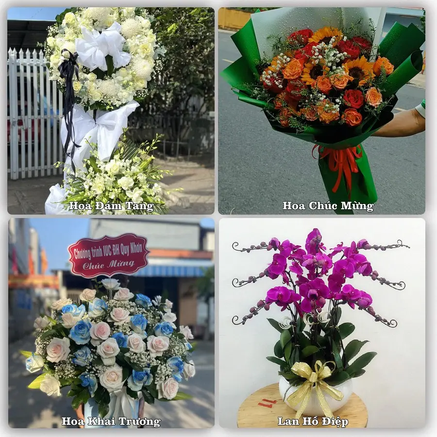 Mẫu hoa tươi dành cho khách đặt hoa tại Tam Sơn, Quản Bạ