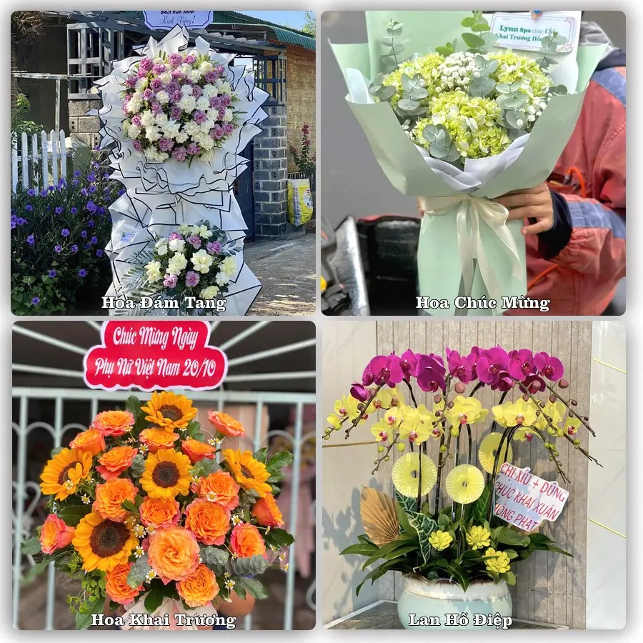Mẫu hoa tươi dành cho khách đặt hoa tại Tam Sơn, Sông Lô