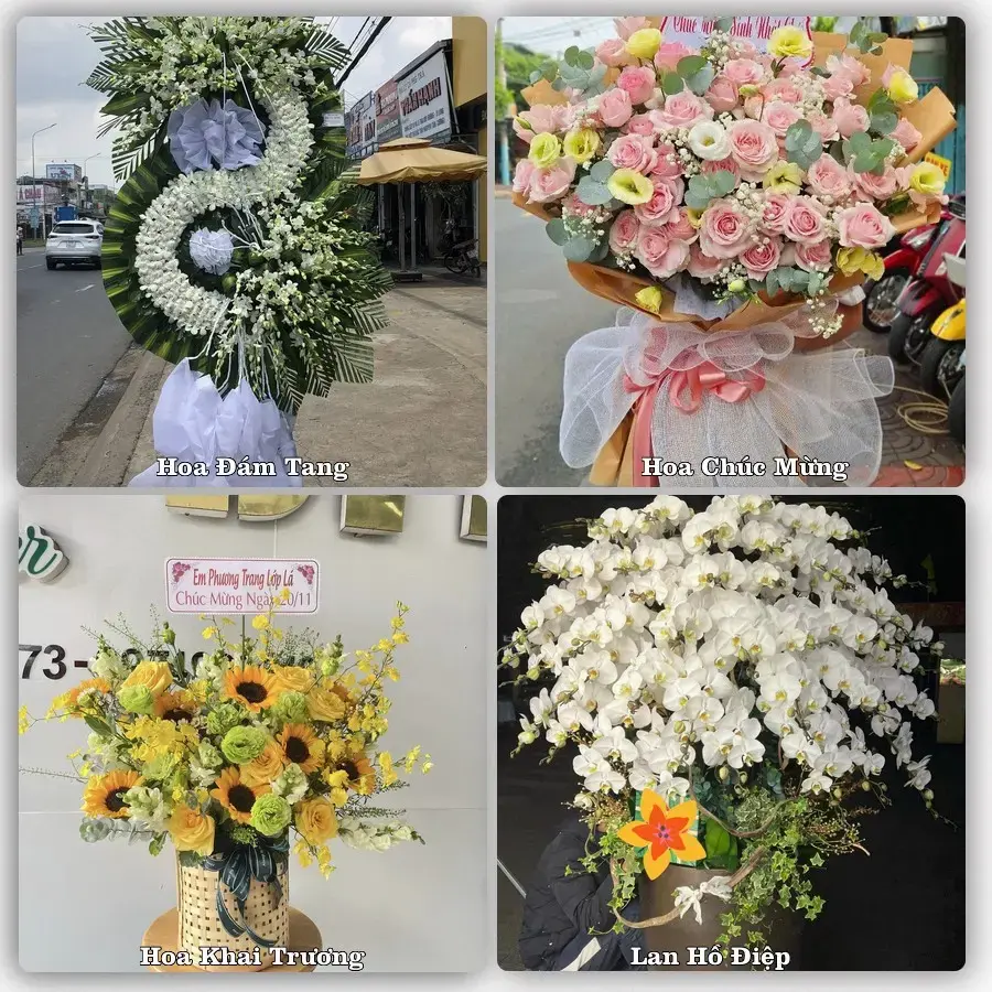 Tư vấn chọn hoa theo từng dịp tại Tam Sơn, Sông Lô