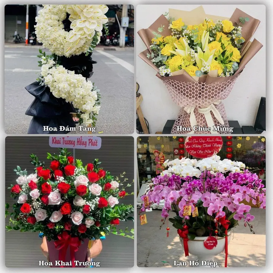 Tư vấn chọn hoa theo từng dịp tại Tân Bình, Hiệp Đức