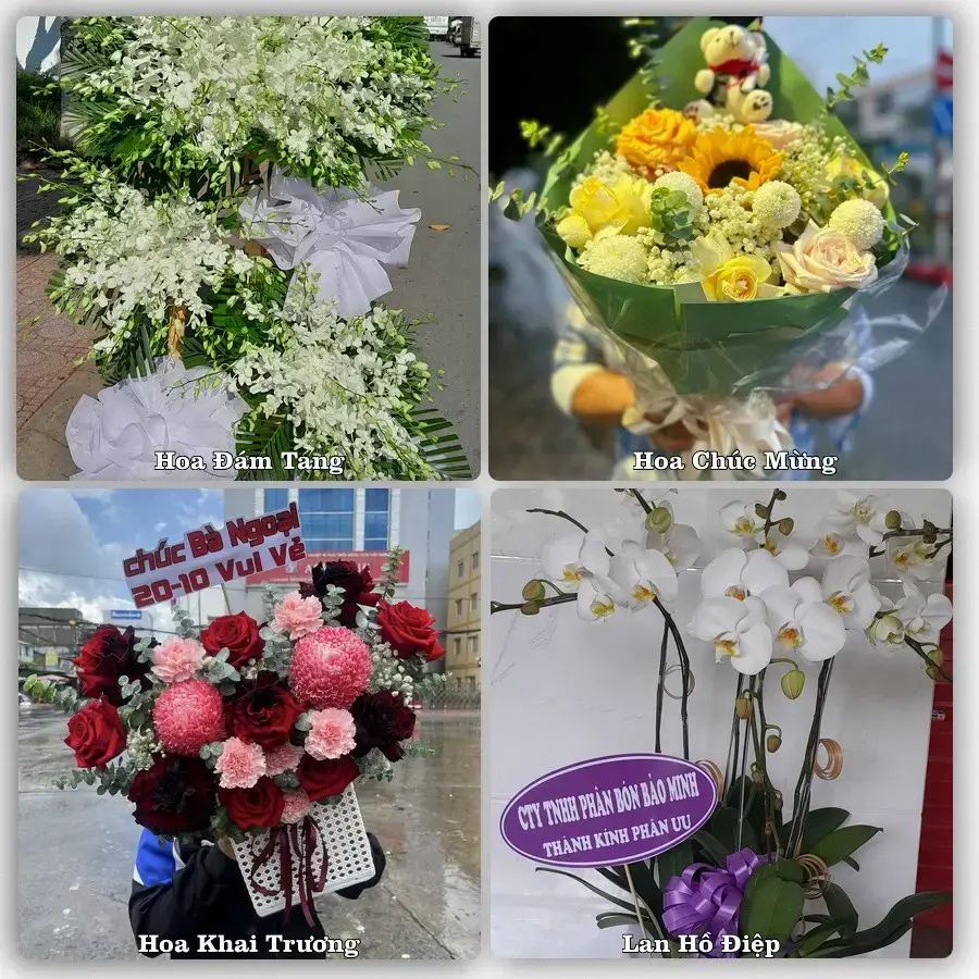 Shop hoa tươi Tân Lạc, Quỳ Châu – Đặt online, giao tận nơi