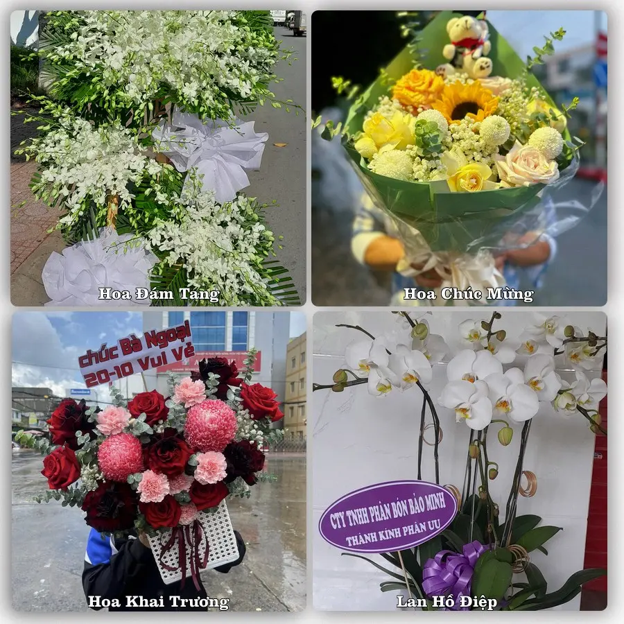 Mẫu hoa tươi dành cho khách đặt hoa tại Tân Lạc, Quỳ Châu