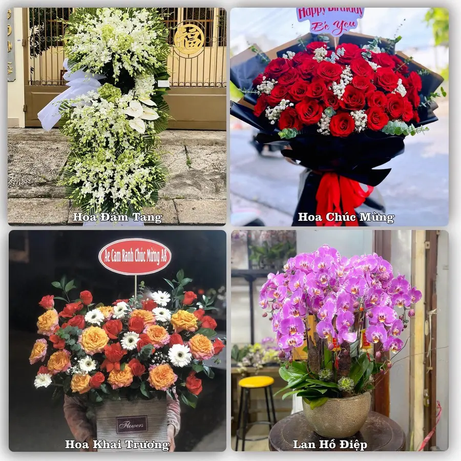 Mẫu hoa tươi dành cho khách đặt hoa tại Tân Minh, Hàm Tân