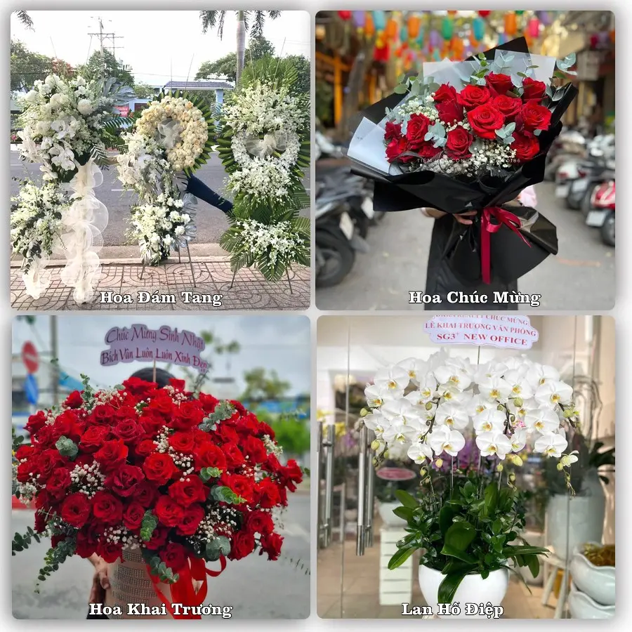 Tư vấn chọn hoa theo từng dịp tại Tân Minh, Hàm Tân