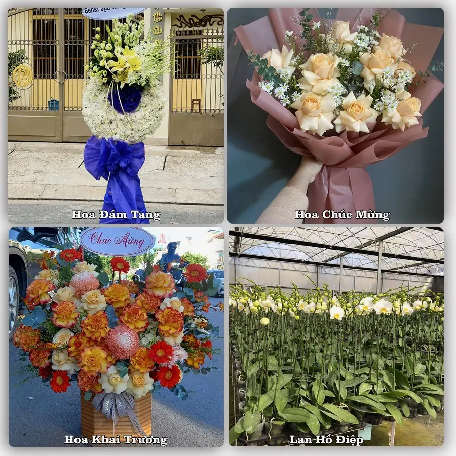 Mẫu hoa tươi dành cho khách đặt hoa tại Tân Sơn, Ninh Sơn