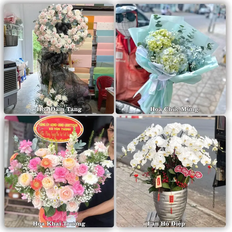 Mẫu hoa tươi dành cho khách đặt hoa tại Tân Thanh, Thanh Liêm