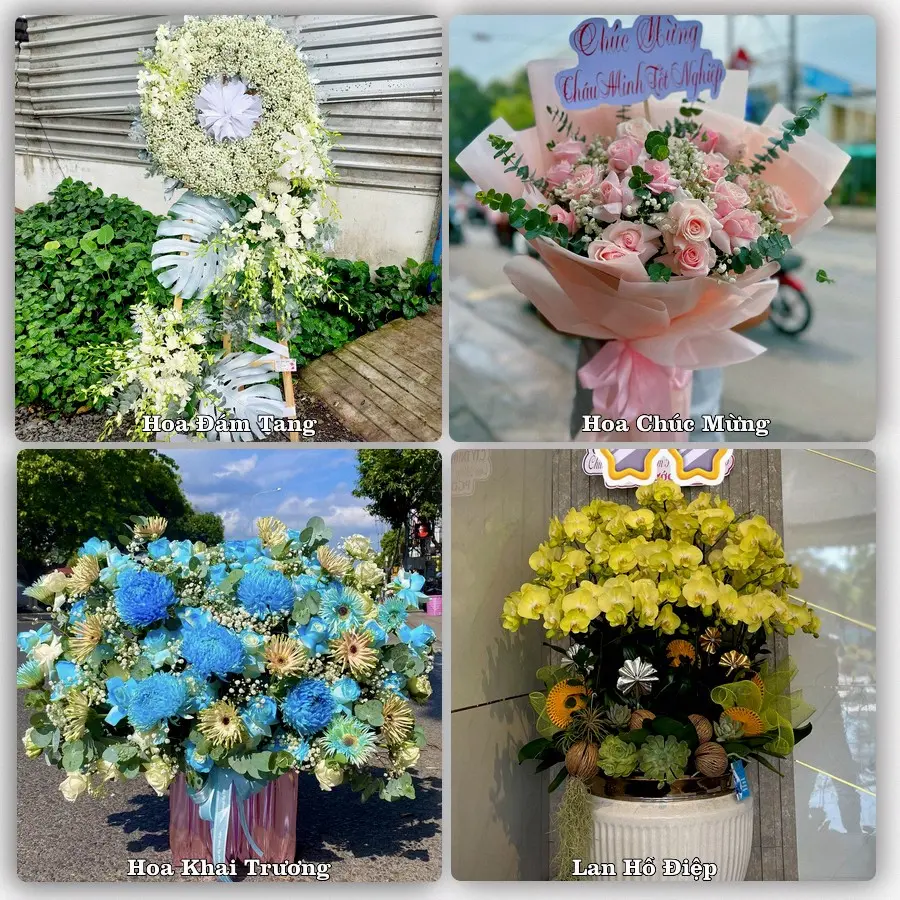 Tư vấn chọn hoa theo từng dịp tại Tân Thanh, Thanh Liêm