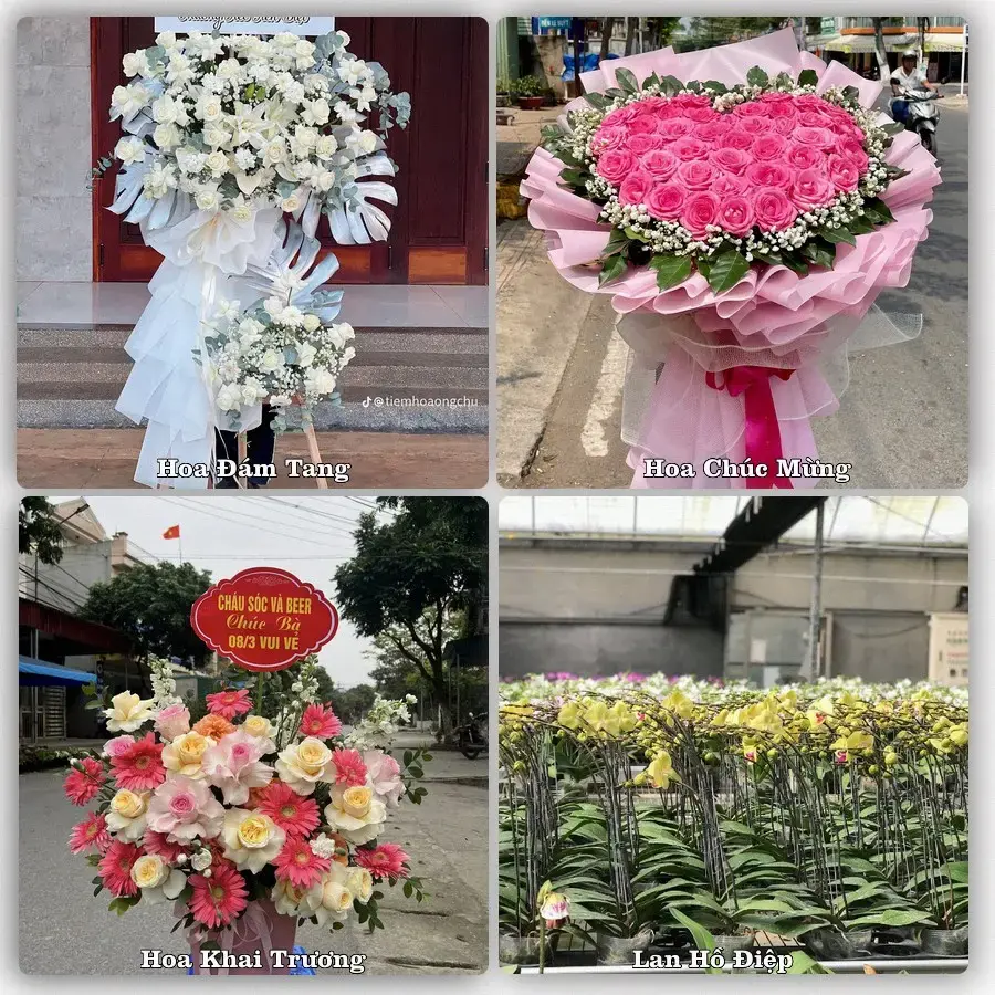 Shop hoa tươi Tăng Bạt Hổ, Hoài Ân – Giao tận nơi trong 2 giờ