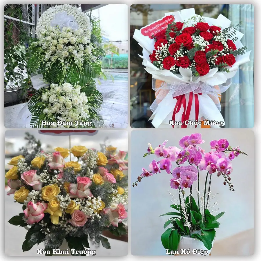 Mẫu hoa tươi dành cho khách đặt hoa tại Tằng Loỏng, Bảo Thắng
