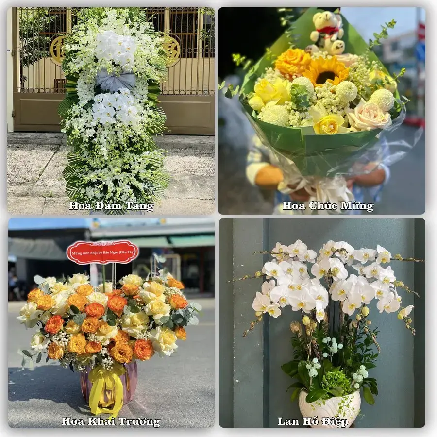 Shop hoa tươi Tây Đằng, Ba Vì – Giao tận nơi trong 2 giờ