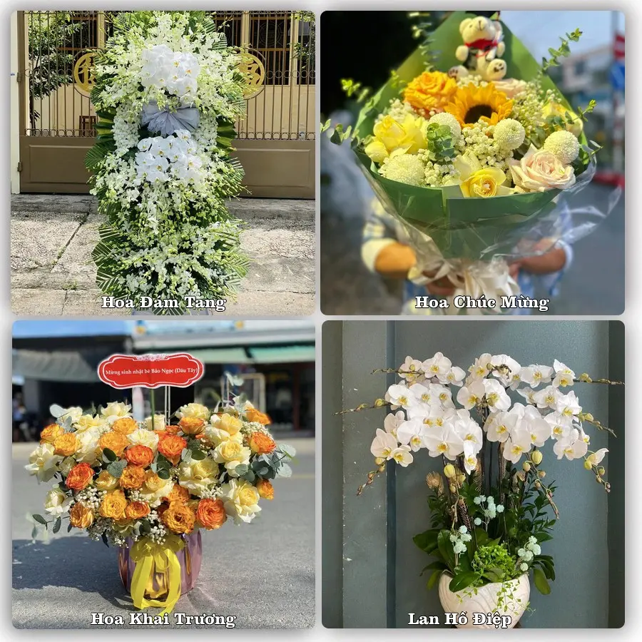Mẫu hoa tươi dành cho khách đặt hoa tại Tây Đằng, Ba Vì