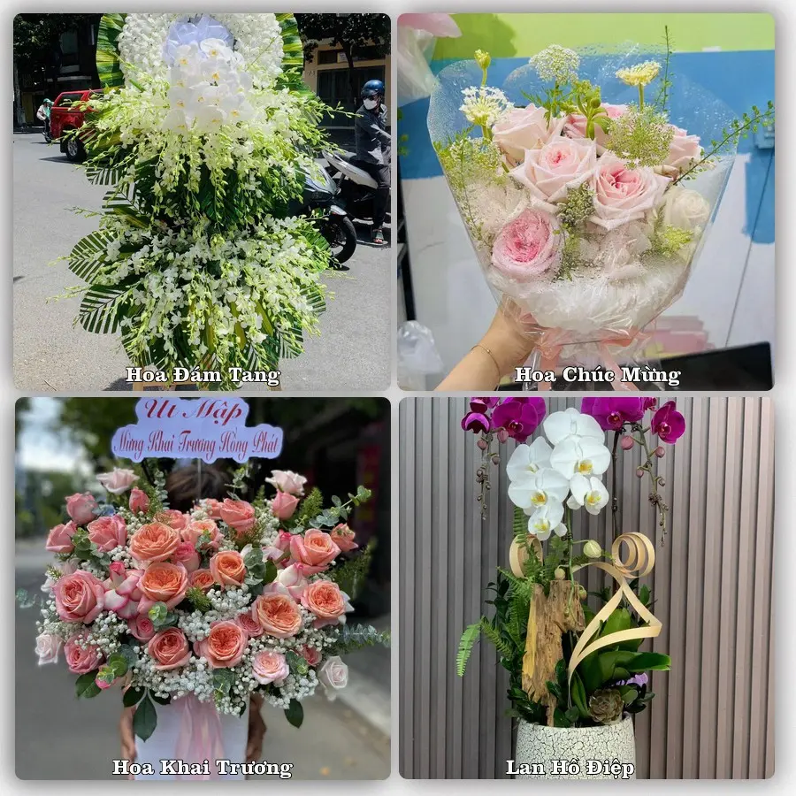 Tư vấn chọn hoa theo từng dịp tại Tây Đằng, Ba Vì