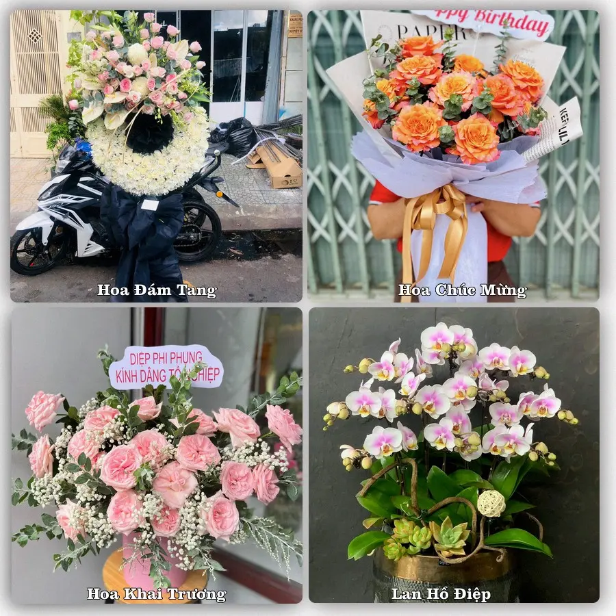 Mẫu hoa tươi dành cho khách đặt hoa tại Tây Sơn, Hương Sơn