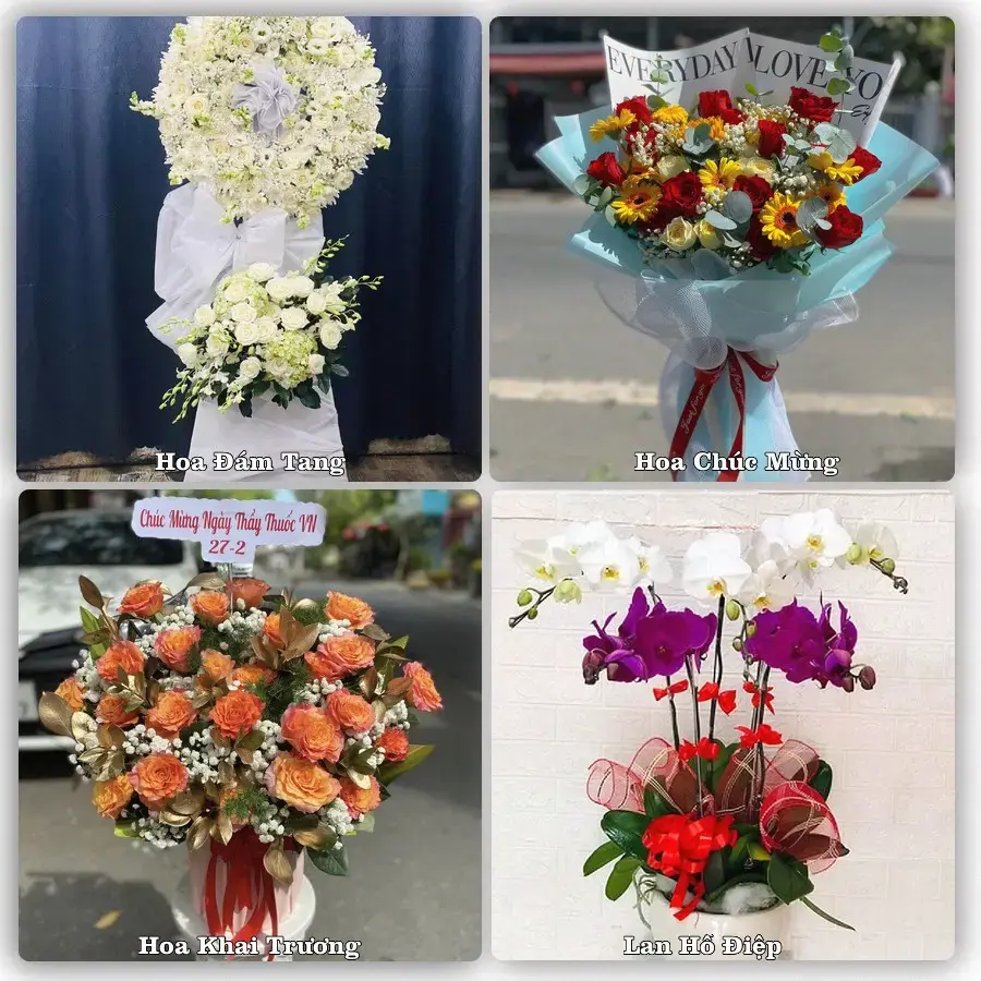 Shop hoa tươi Thanh Ba – Nhận giao hoa trong ngày