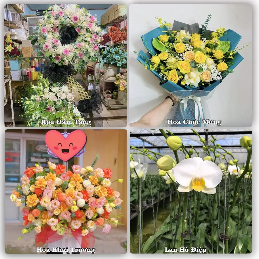 Tư vấn chọn hoa theo từng dịp tại Thanh Lãng, Bình Xuyên