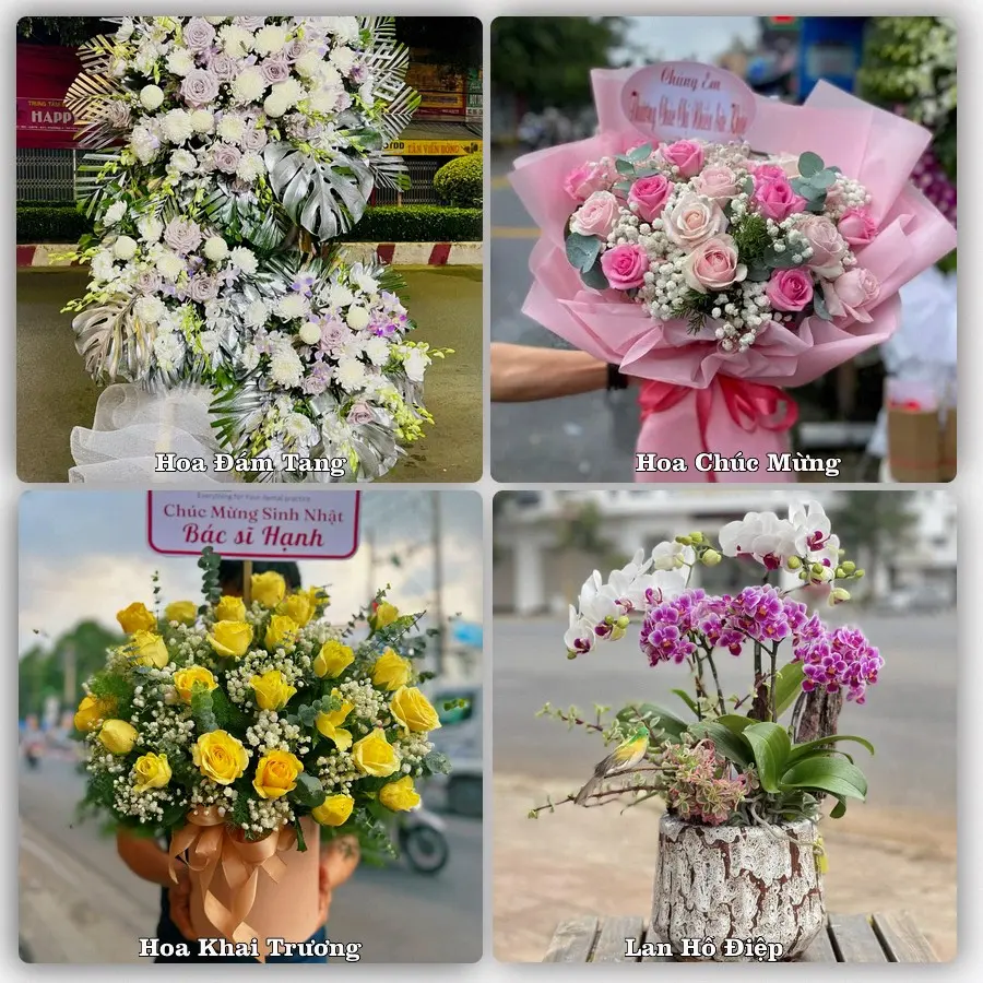 Tư vấn chọn hoa theo từng dịp tại Thạnh Mỹ, Nam Giang