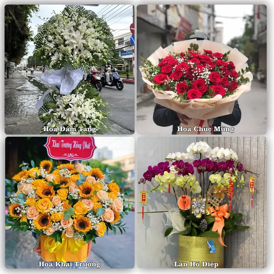 Mẫu hoa tươi dành cho khách đặt hoa tại Thanh Nhật, Hạ Lang