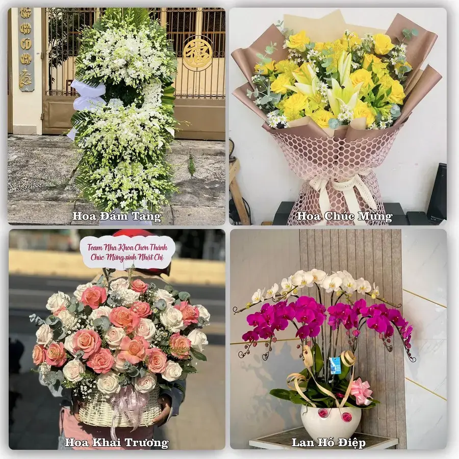 Tư vấn chọn hoa theo từng dịp tại Thanh Nhật, Hạ Lang
