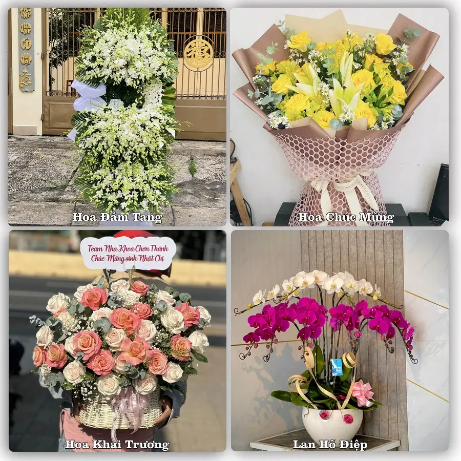 Tư vấn chọn hoa theo từng dịp tại Thanh Nhật, Hạ Lang