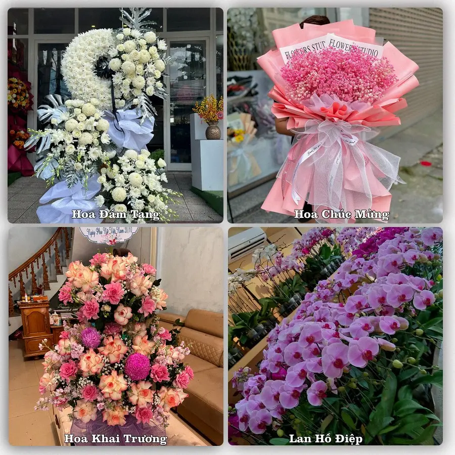 Mẫu hoa tươi dành cho khách đặt hoa tại Thanh Sơn