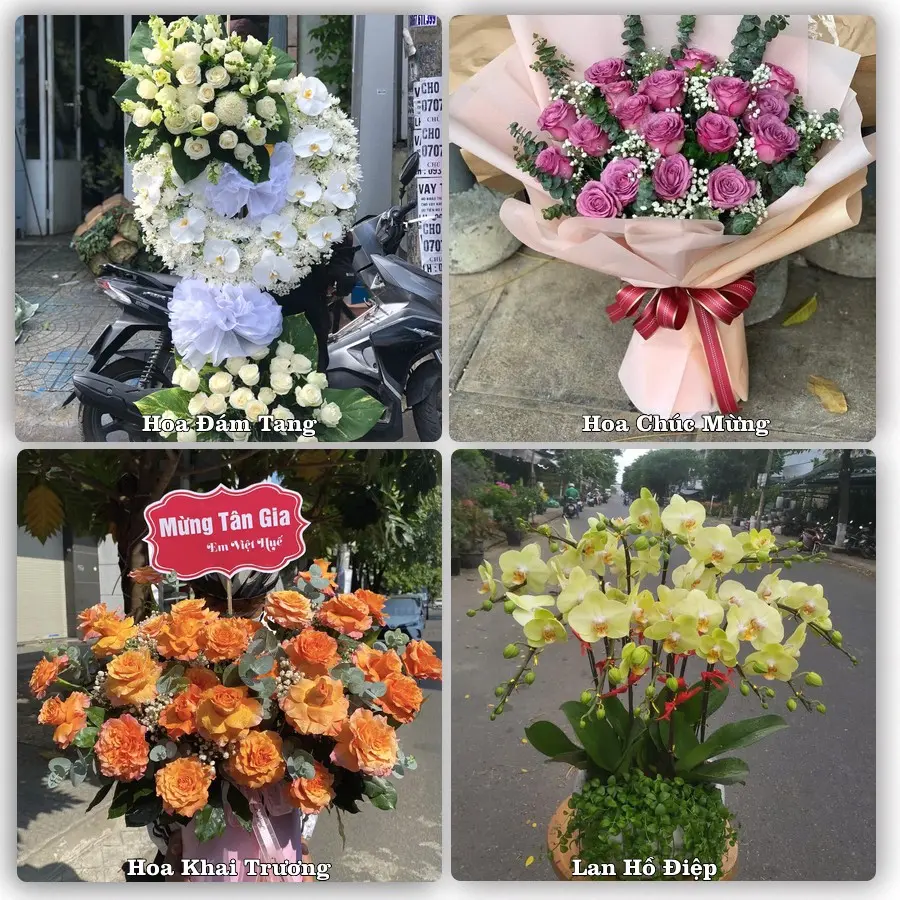 Tư vấn chọn hoa theo từng dịp tại Thiên Tôn, Hoa Lư