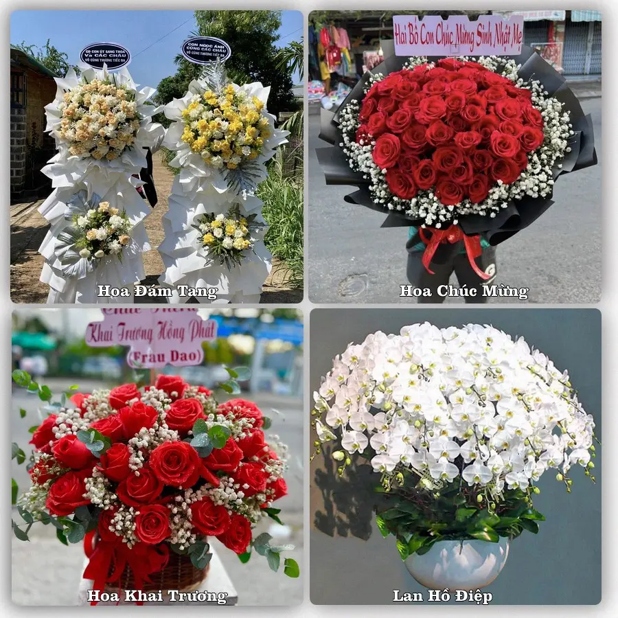 Mẫu hoa tươi dành cho khách đặt hoa tại Thịnh Long, Hải Hậu