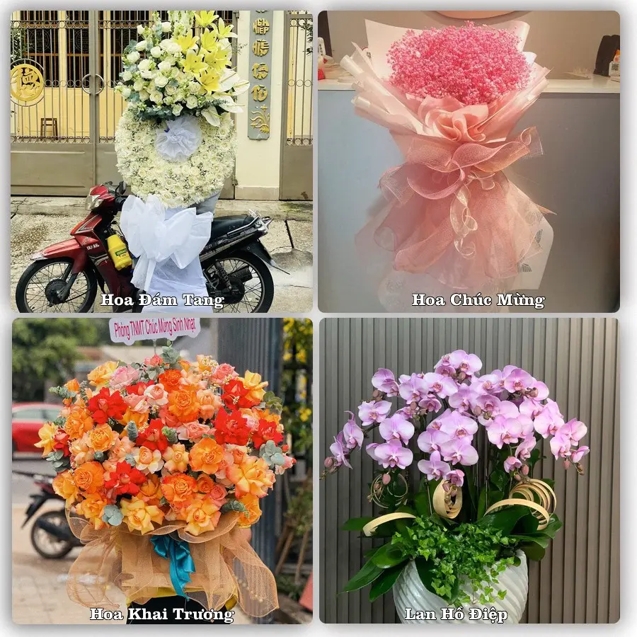 Tư vấn chọn hoa theo từng dịp tại Thọ Xuân