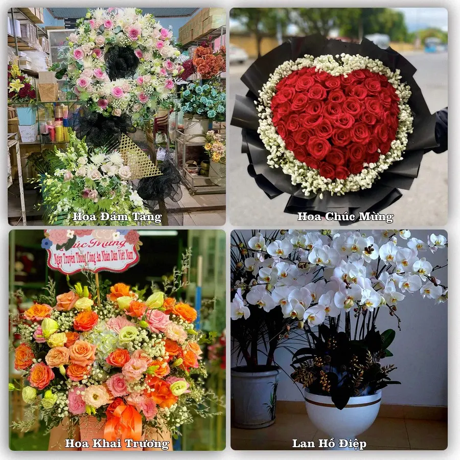 Mẫu hoa tươi dành cho khách đặt hoa tại Thông Nông, Hà Quảng