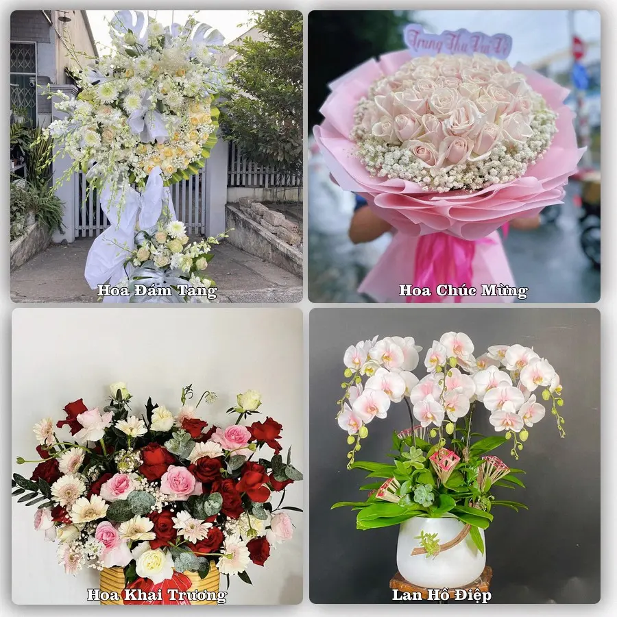 Mẫu hoa tươi dành cho khách đặt hoa tại Thuận Nam, Hàm Thuận Nam