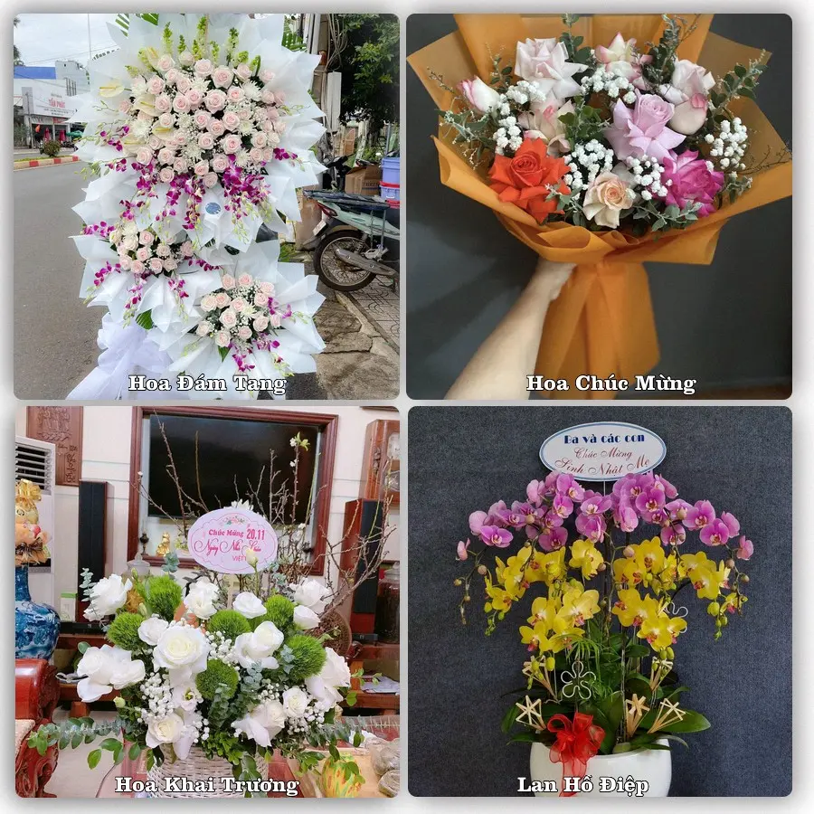 Tư vấn chọn hoa theo từng dịp tại Thuận Nam, Hàm Thuận Nam