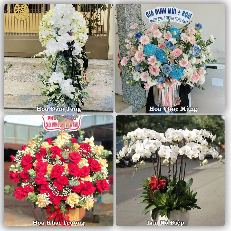 Mẫu hoa tươi dành cho khách đặt hoa tại Thường Xuân