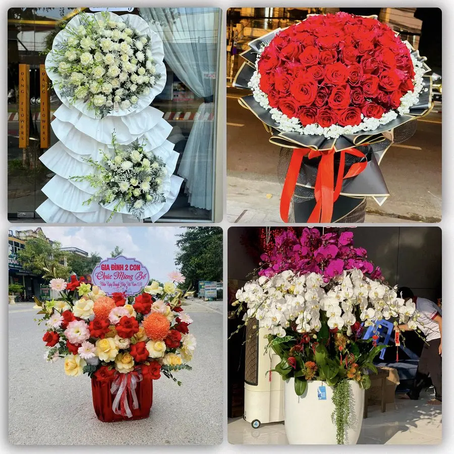 Gợi ý lựa chọn hoa theo người nhận và từng dịp tại Cái Răng