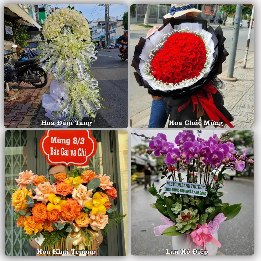 Mẫu hoa tươi dành cho khách đặt hoa tại Tiên Yên