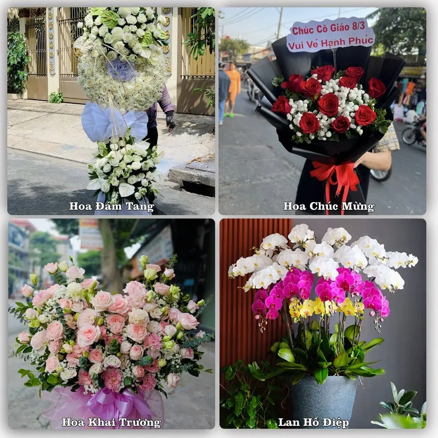 Dịch vụ đặt hoa online giao tận nơi tại Tô Hạp, Khánh Sơn