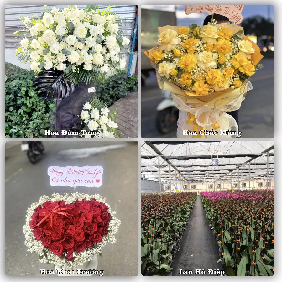 Tư vấn chọn hoa theo từng dịp tại Trà Lĩnh, Trùng Khánh