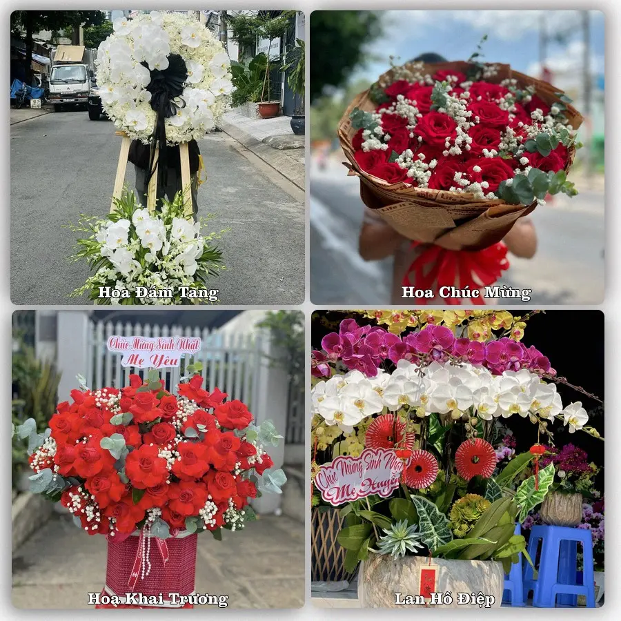 Tư vấn chọn hoa theo từng dịp tại Trà My, Bắc Trà My