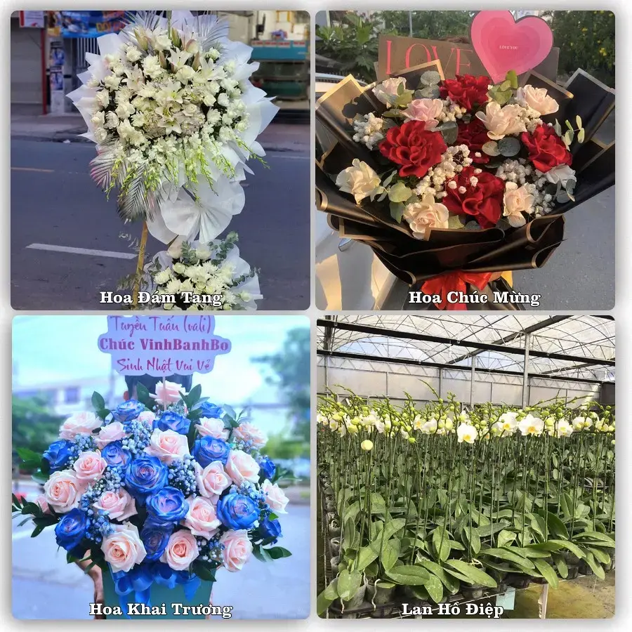 Shop hoa tươi Trạm Tấu – Nhận giao hoa trong ngày
