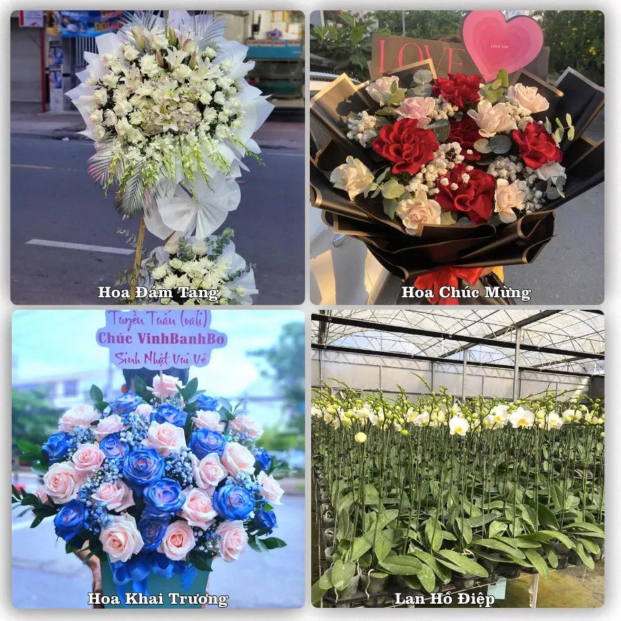 Mẫu hoa tươi dành cho khách đặt hoa tại Trạm Tấu
