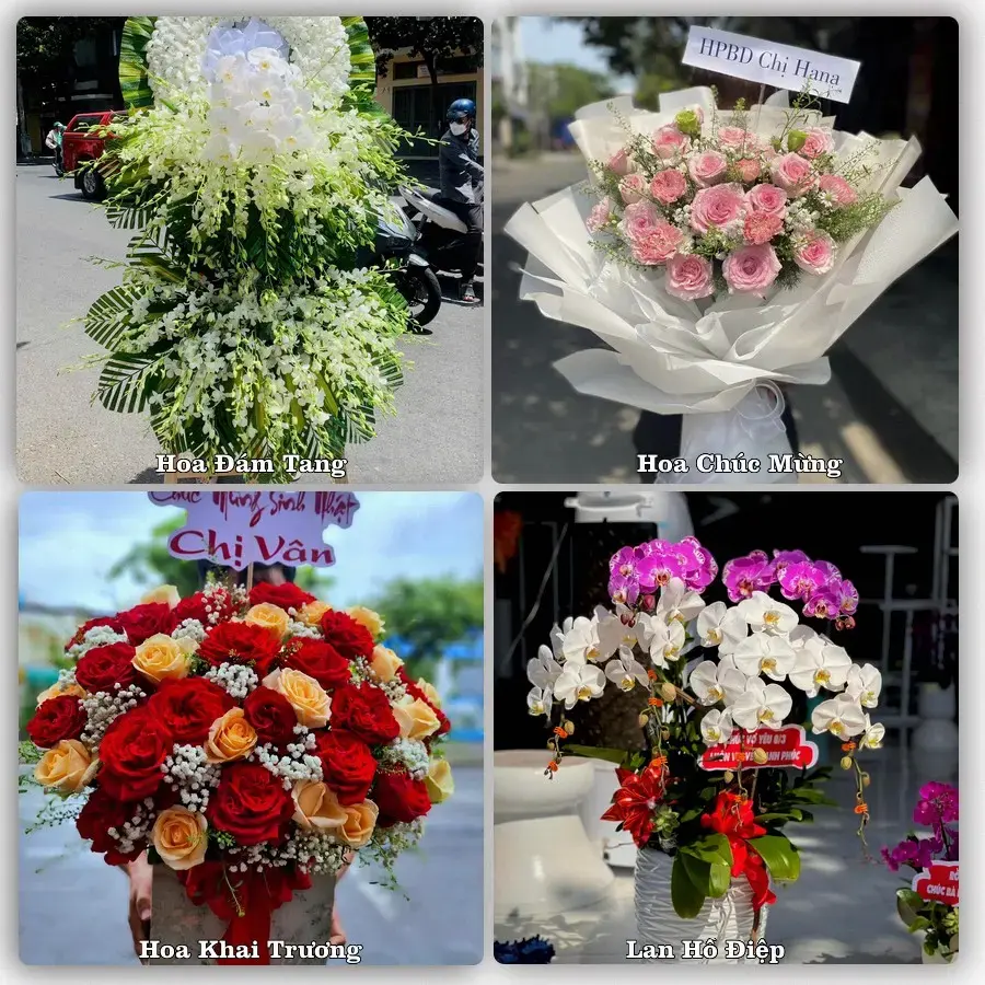 Tư vấn chọn hoa theo từng dịp tại Trạm Tấu