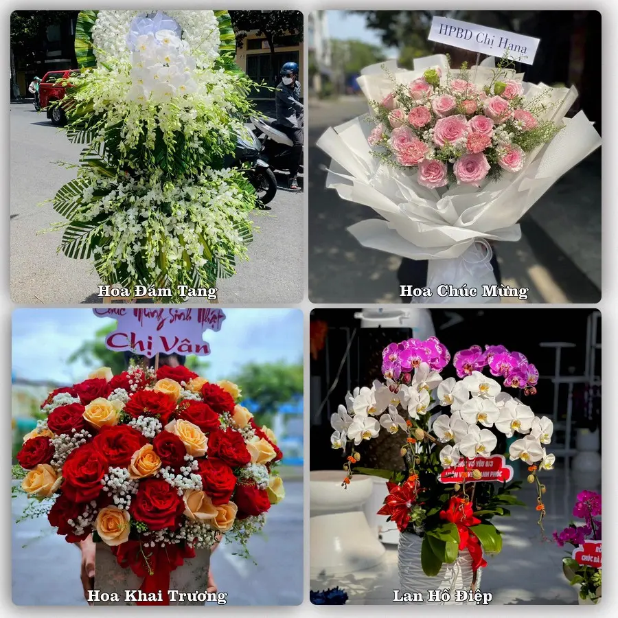 Tư vấn chọn hoa theo từng dịp tại Trạm Tấu