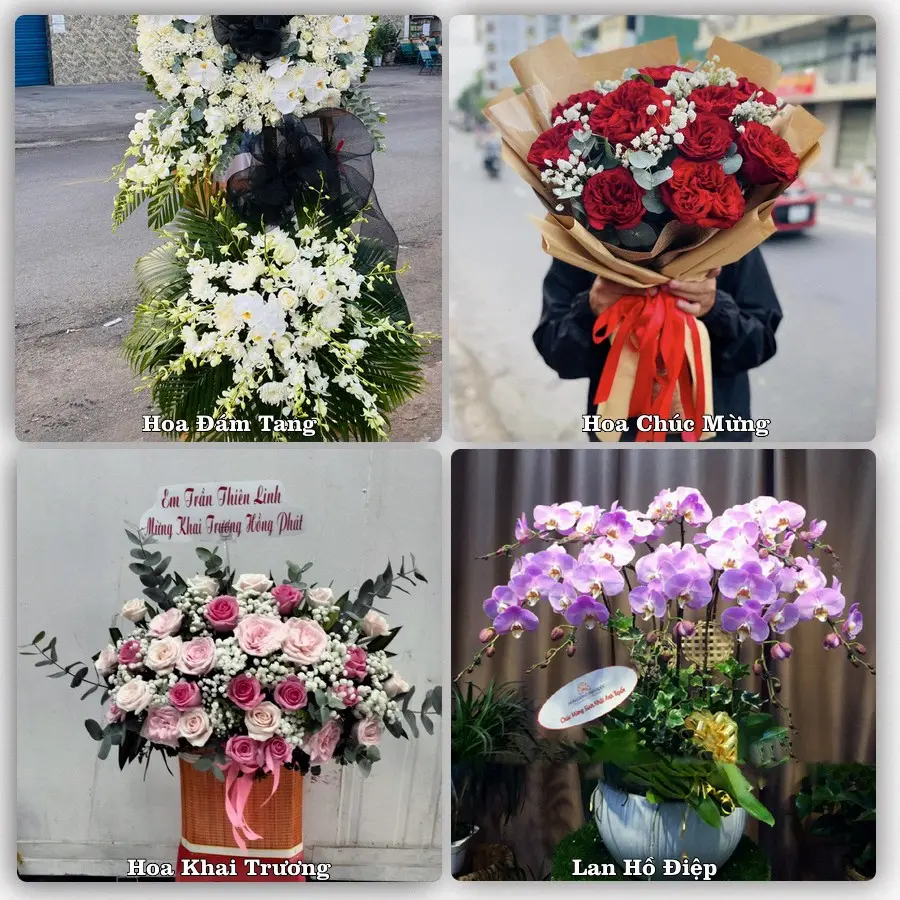 Tư vấn chọn hoa theo từng dịp tại Trạm Trôi, Hoài Đức