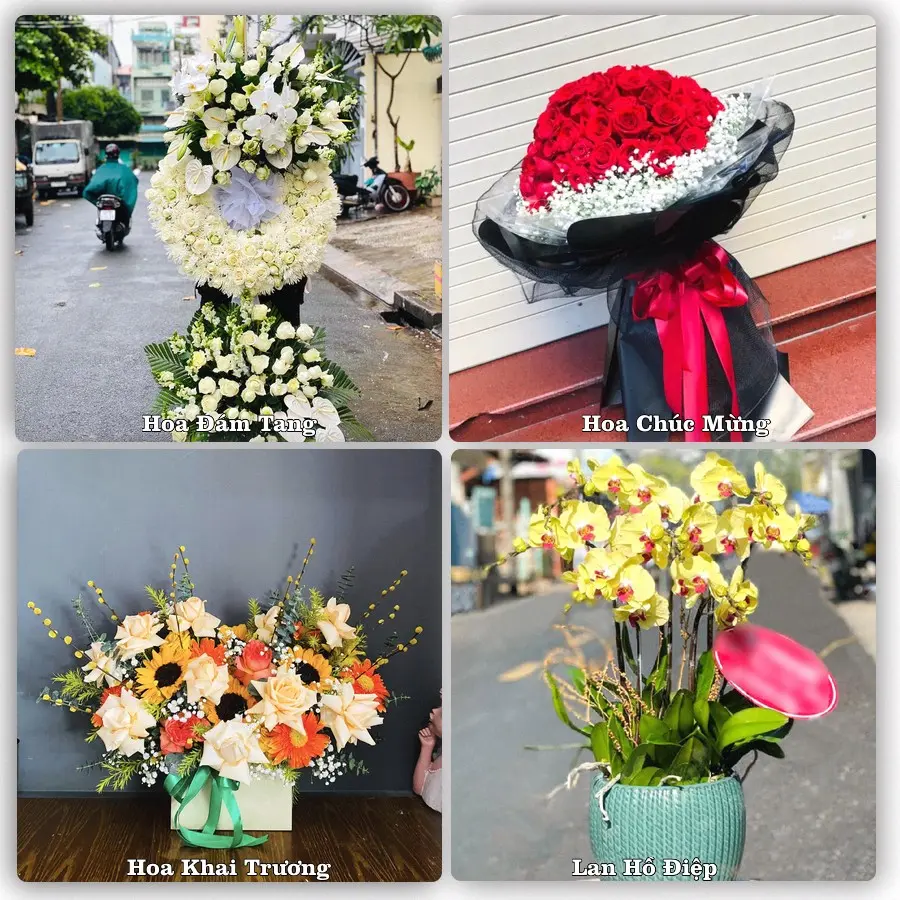 Mẫu hoa tươi dành cho khách đặt hoa tại Triệu Sơn