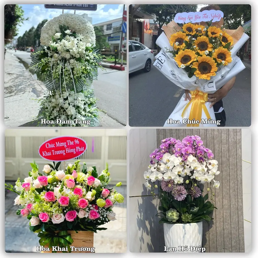 Mẫu hoa tươi dành cho khách đặt hoa tại Trường Sơn, An Lão